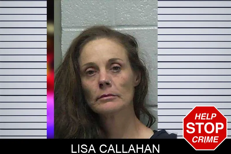 Lisa Callahan mugshot