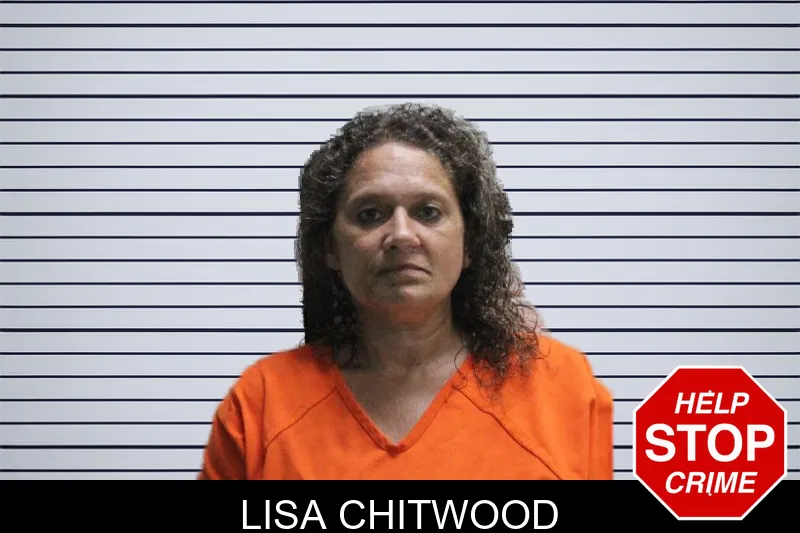 Lisa Chitwood mugshot