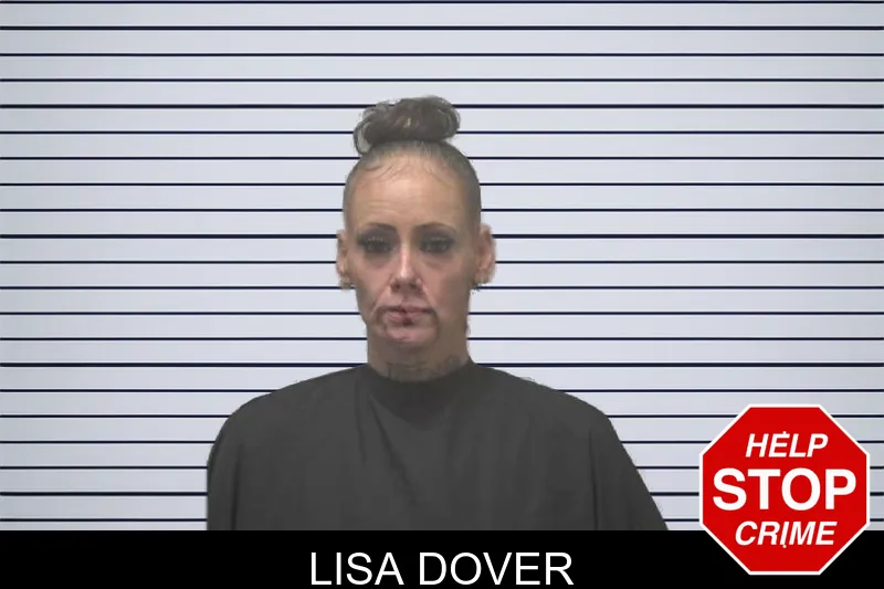 Lisa Dover mugshot
