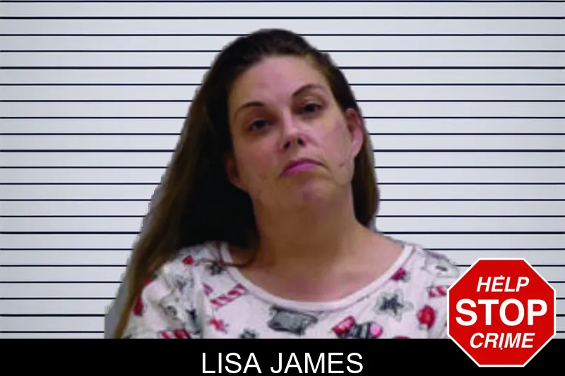 Lisa James mugshot