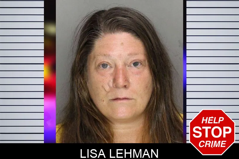Lisa Lehman mugshot
