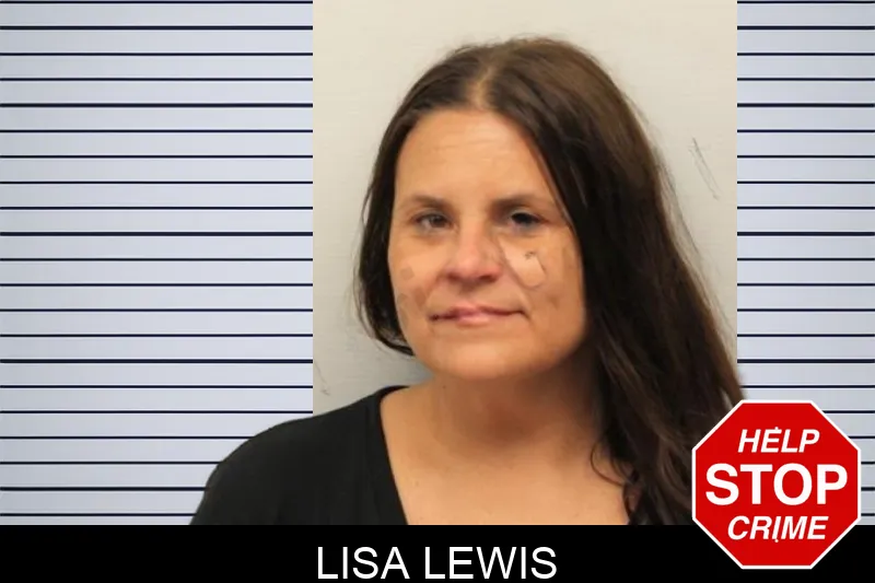 Lisa Lewis mugshot