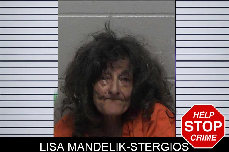Lisa Mandelik-Stergios mugshot