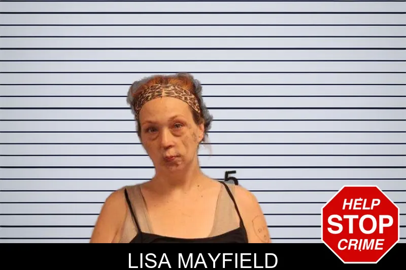Lisa Mayfield mugshot