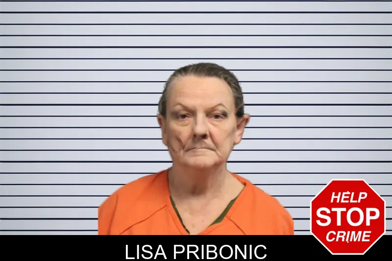Lisa Pribonic mugshot