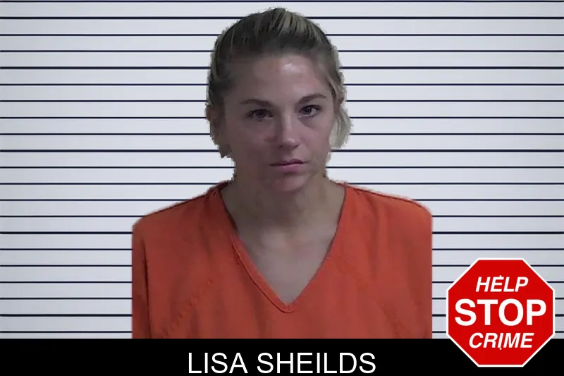 Lisa Sheilds mugshot