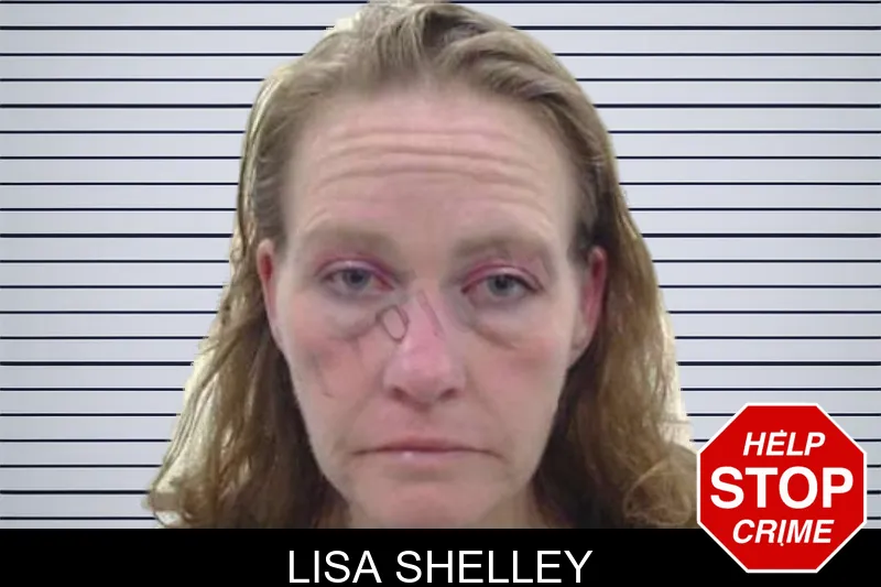 Lisa Shelley mugshot