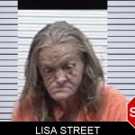 Lisa Street mugshot