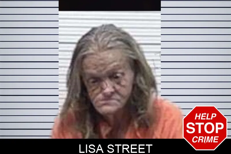Lisa Street mugshot