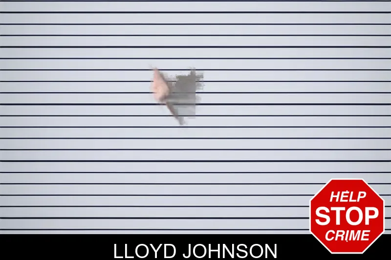 Lloyd Johnson mugshot