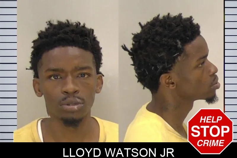 Lloyd Watson Jr mugshot