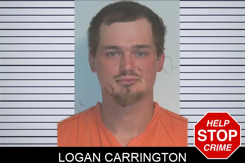 Logan Carrington mugshot