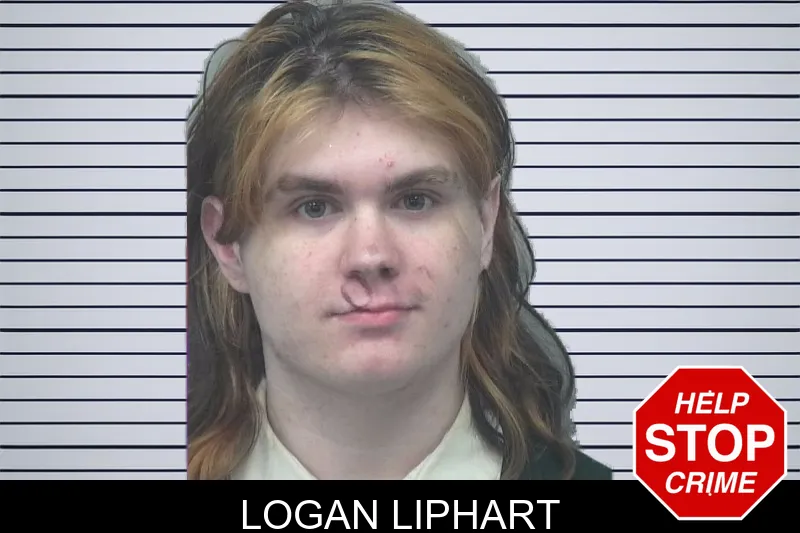 Logan Liphart mugshot