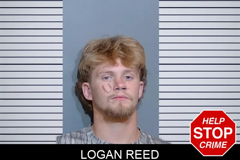 Logan Reed mugshot