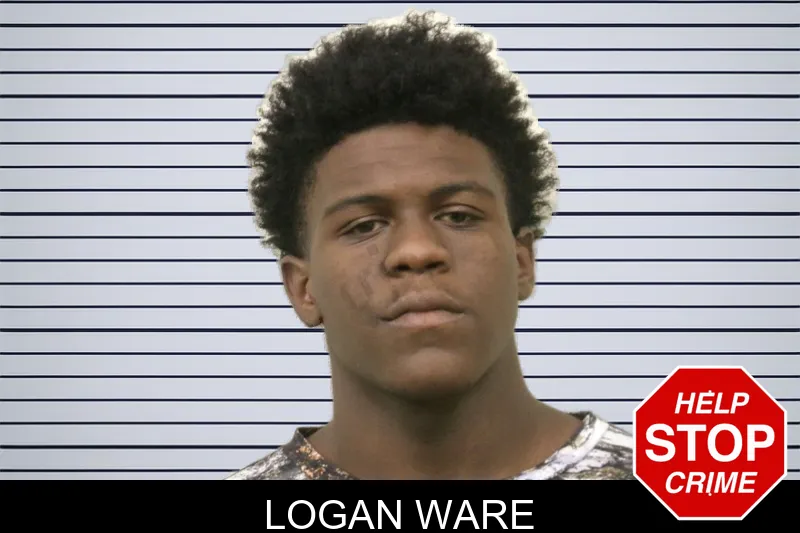 Logan Ware mugshot