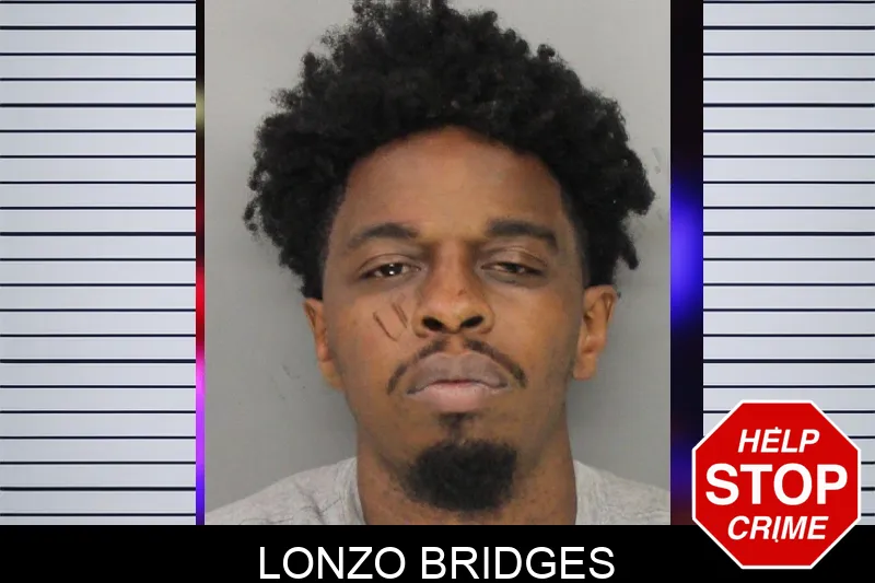 Lonzo Bridges mugshot