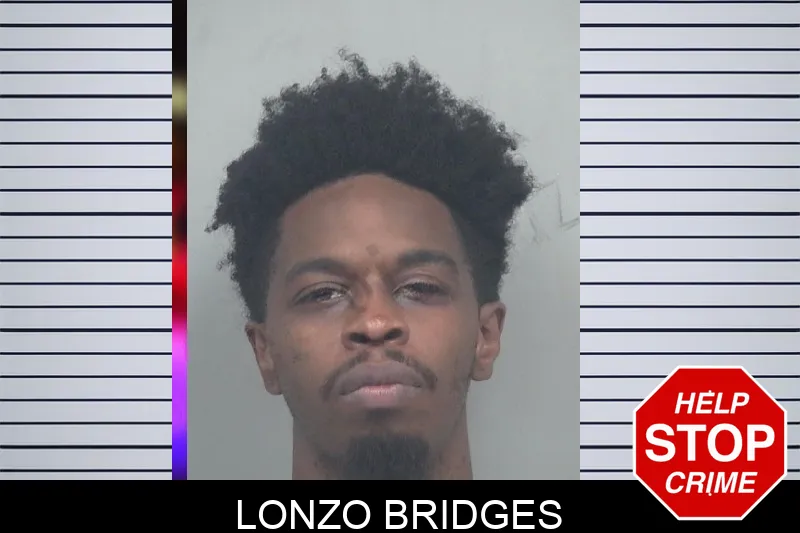 Lonzo Bridges mugshot