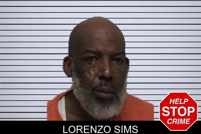 Lorenzo Sims mugshot