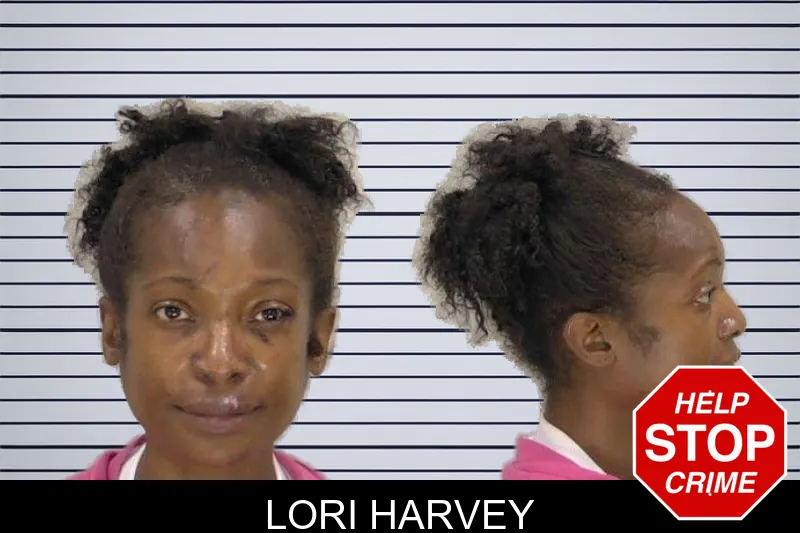 Lori Harvey mugshot