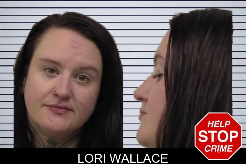 Lori Wallace mugshot