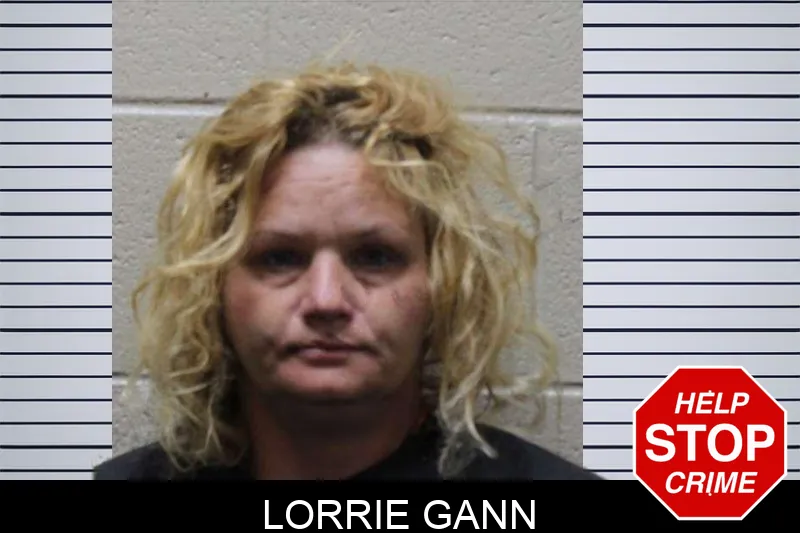 Lorrie Gann mugshot