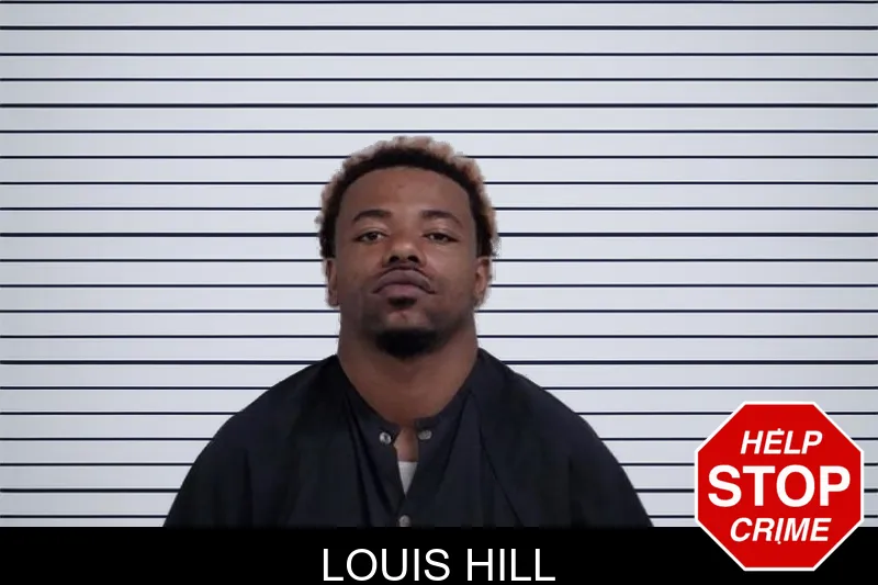 Louis Hill mugshot