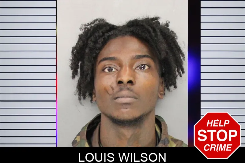 Louis Wilson mugshot