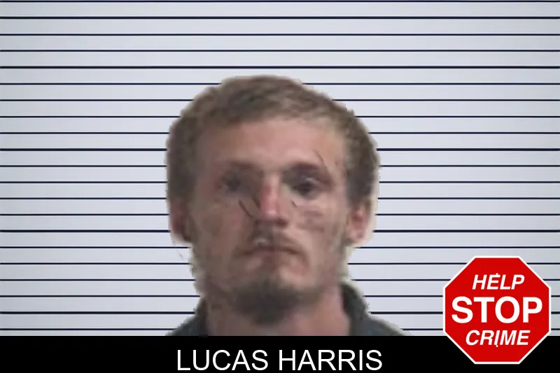 Lucas Harris mugshot