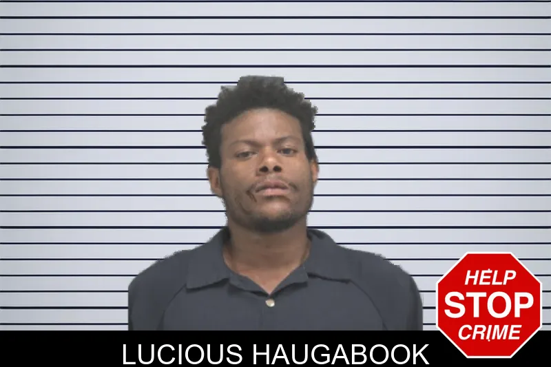 Lucious Haugabook mugshot