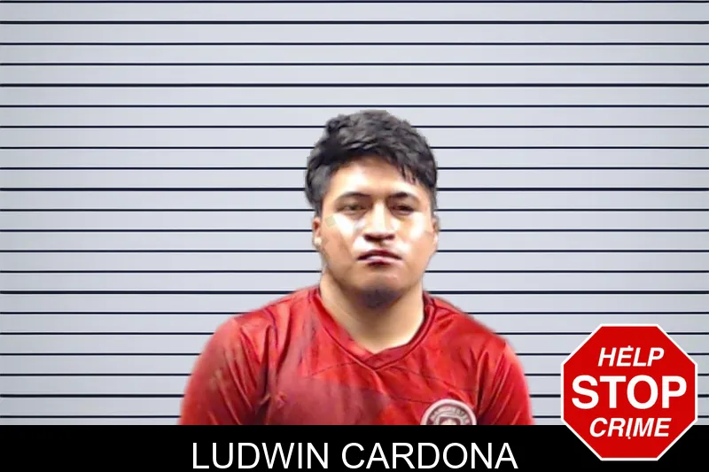 Ludwin Cardona mugshot