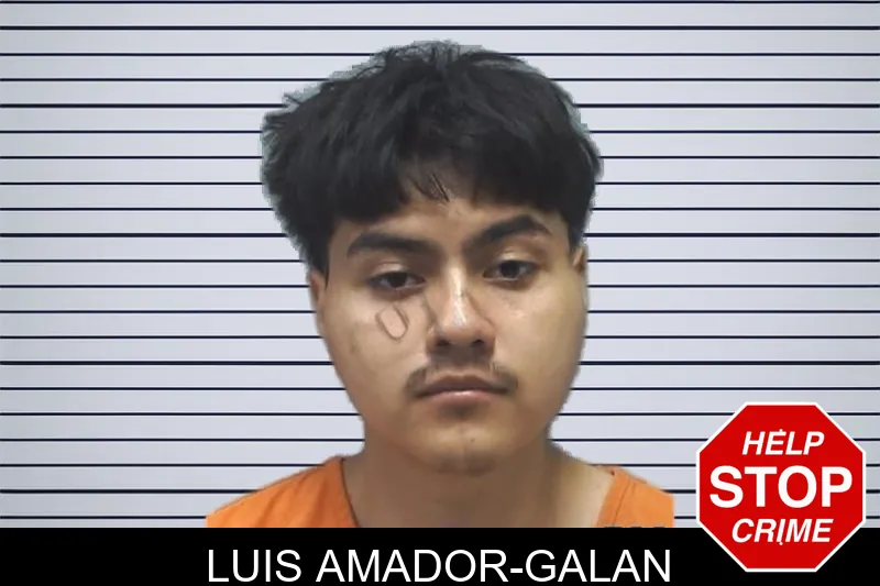 Luis Amador-Galan mugshot
