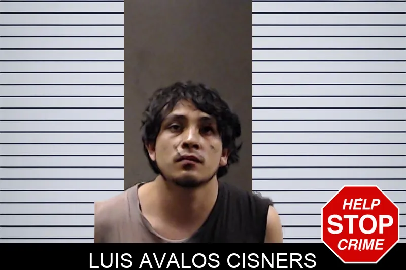 Luis Avalos Cisners mugshot