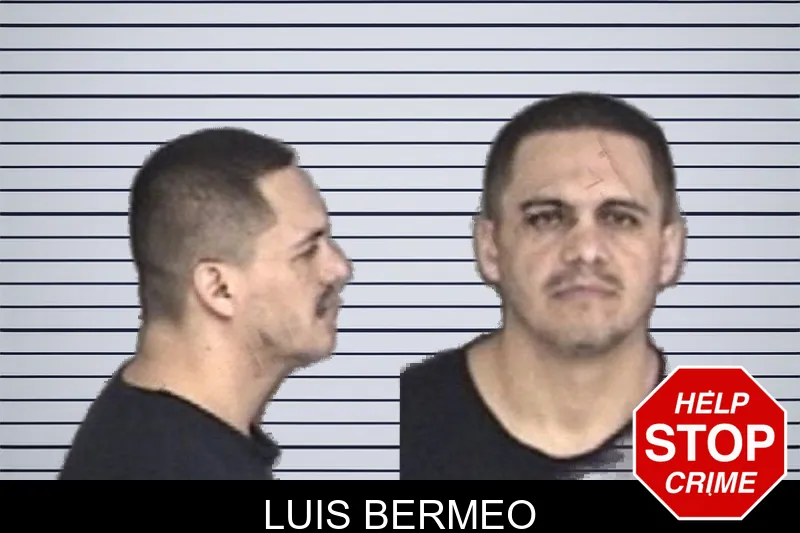 Luis Bermeo mugshot
