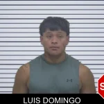 Luis Domingo mugshot