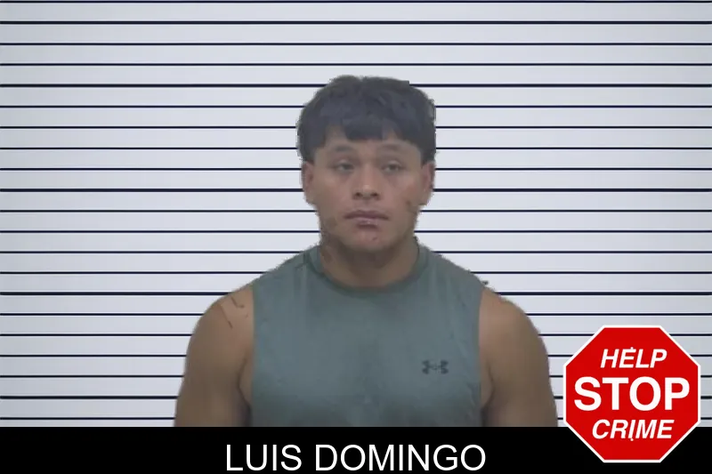 Luis Domingo mugshot