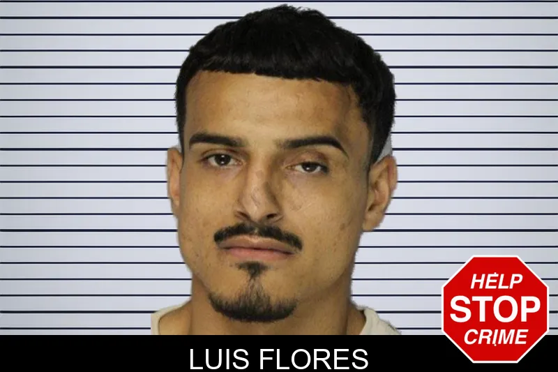 Luis Flores mugshot