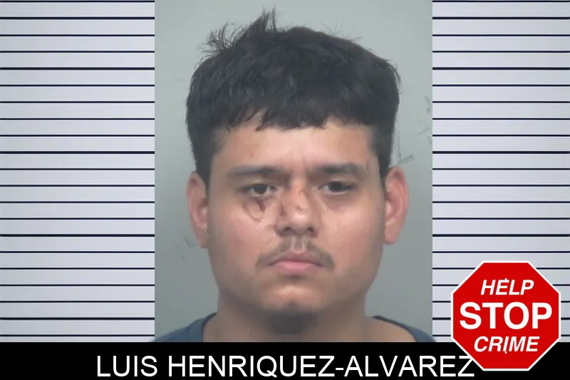 Luis Henriquez-Alvarez mugshot
