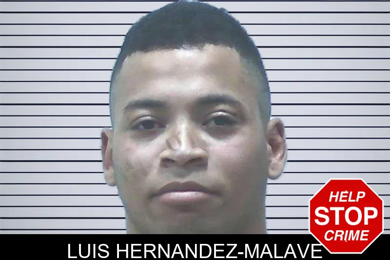 Luis Hernandez-Malave mugshot