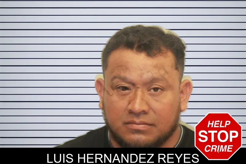 Luis Hernandez Reyes mugshot