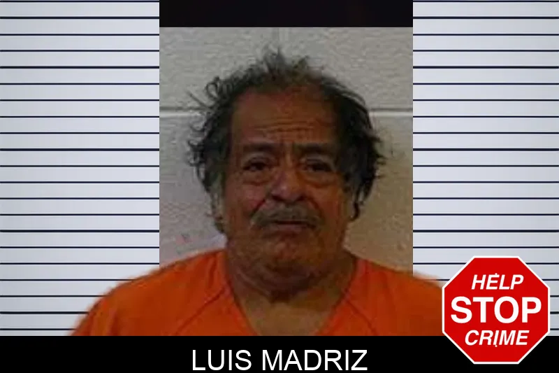 Luis Madriz mugshot