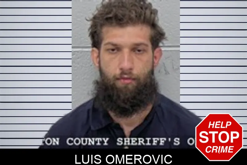 Luis Omerovic mugshot