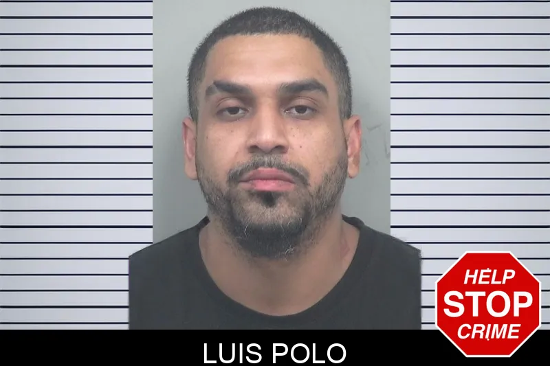 Luis Polo mugshot