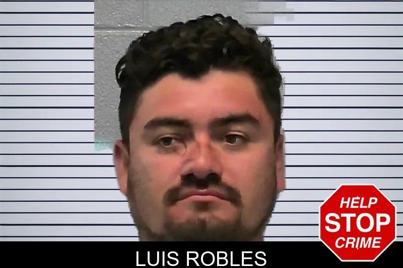 Luis Robles mugshot