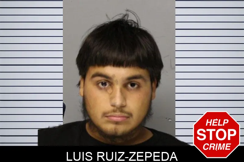Luis Ruiz-Zepeda mugshot