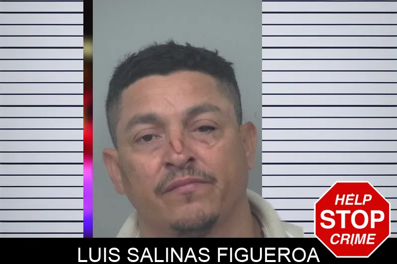 Luis Salinas Figueroa mugshot