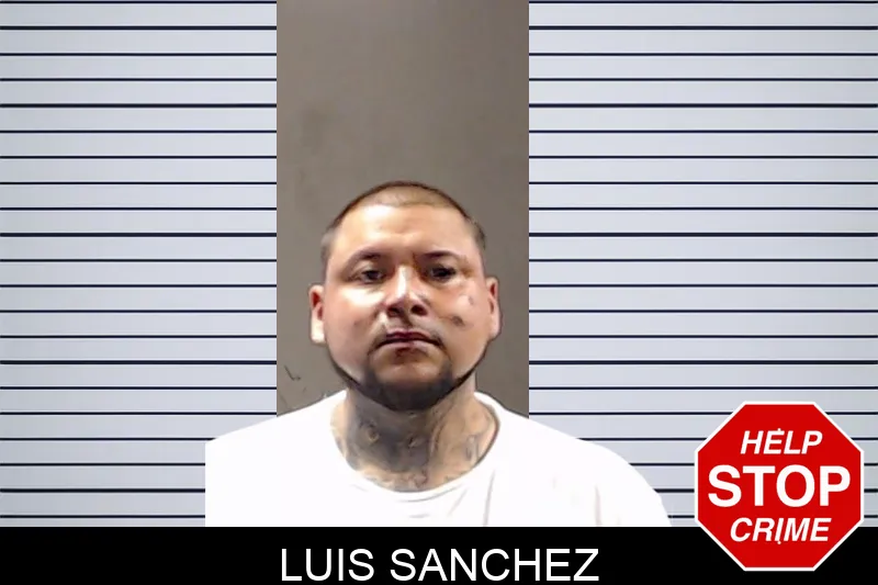Luis Sanchez mugshot