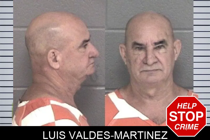 Luis Valdes-Martinez mugshot