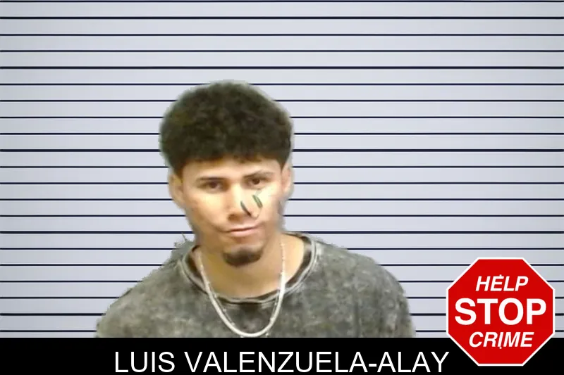 Luis Valenzuela-Alay mugshot