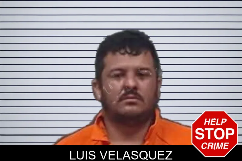 Luis Velasquez mugshot