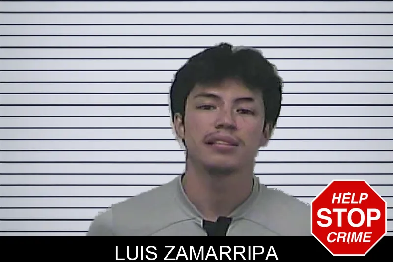 Luis Zamarripa mugshot